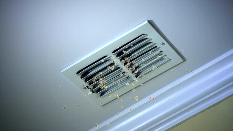 Best Air Duct Sanitizing Services  in Gallatin, MO
