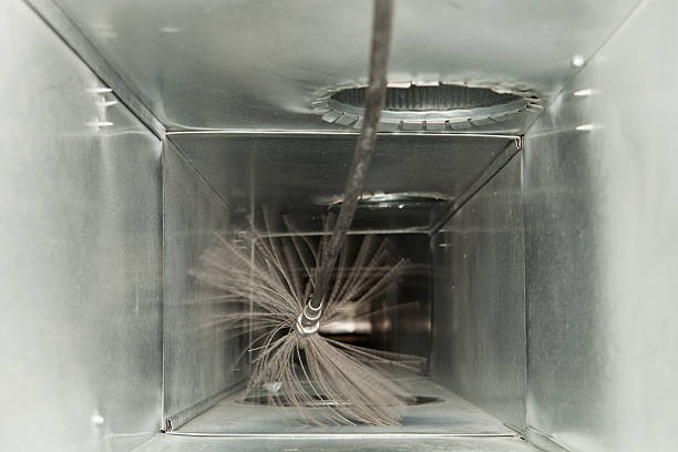 Air Duct Mold Removal in Gallatin, MO
